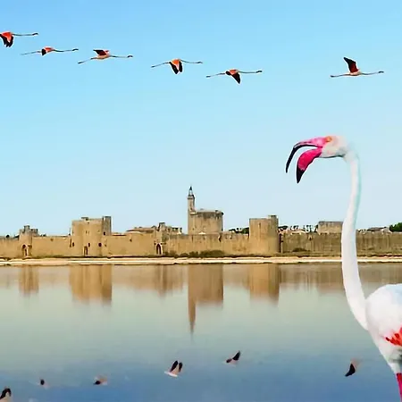 Amazing In Σπίτι διακοπών Aimargues